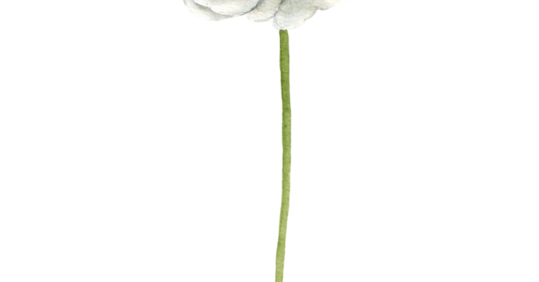 Watercolour botanical illustration accompanying the Fit n Healthy article on feeling tired but wired.