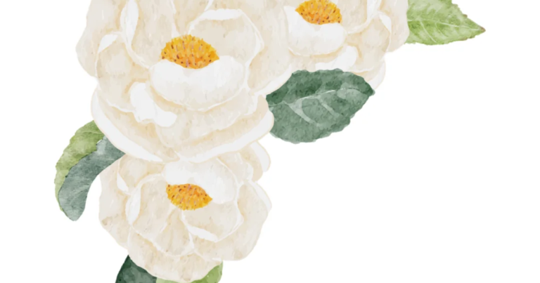 Watercolour botanical illustration accompanying the Fit n Healthy article on managing PMS.