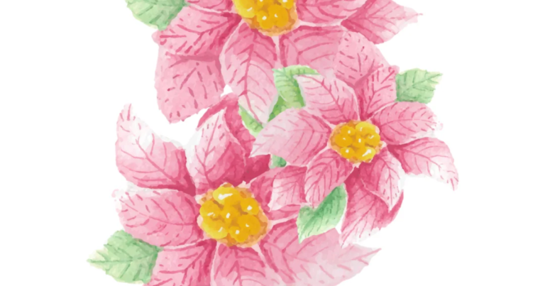 Watercolour botanical illustration accompanying the Fit n Healthy article on supporting hormones after relocating to Dubai.