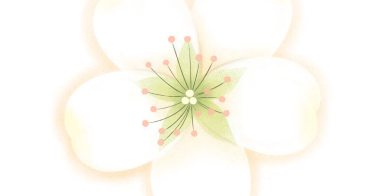 Watercolour botanical illustration accompanying the Fit n Healthy article on gut health for women in Dubai.