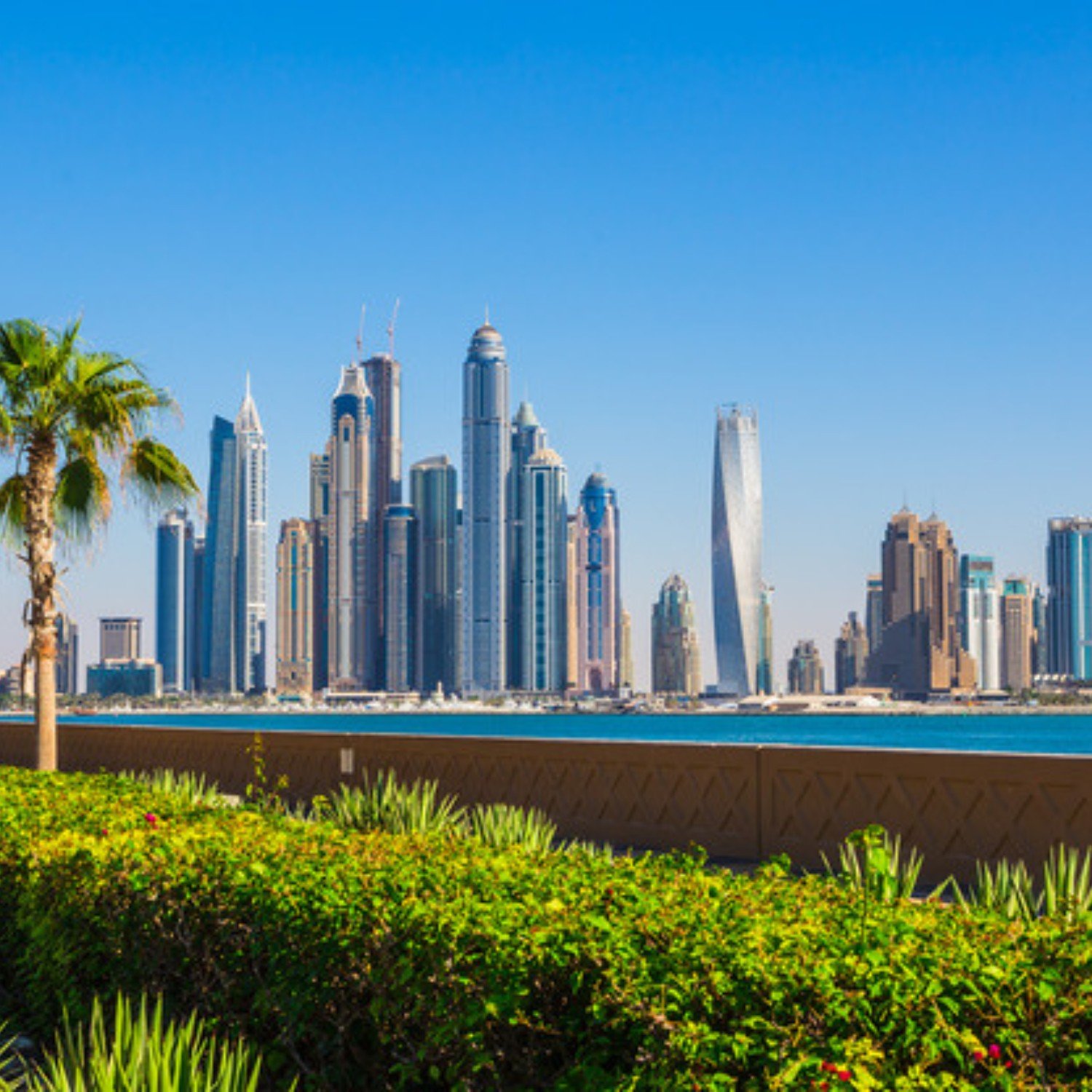 Dubai Marina skyline with greenery representing a healthy lifestyle in the UAE