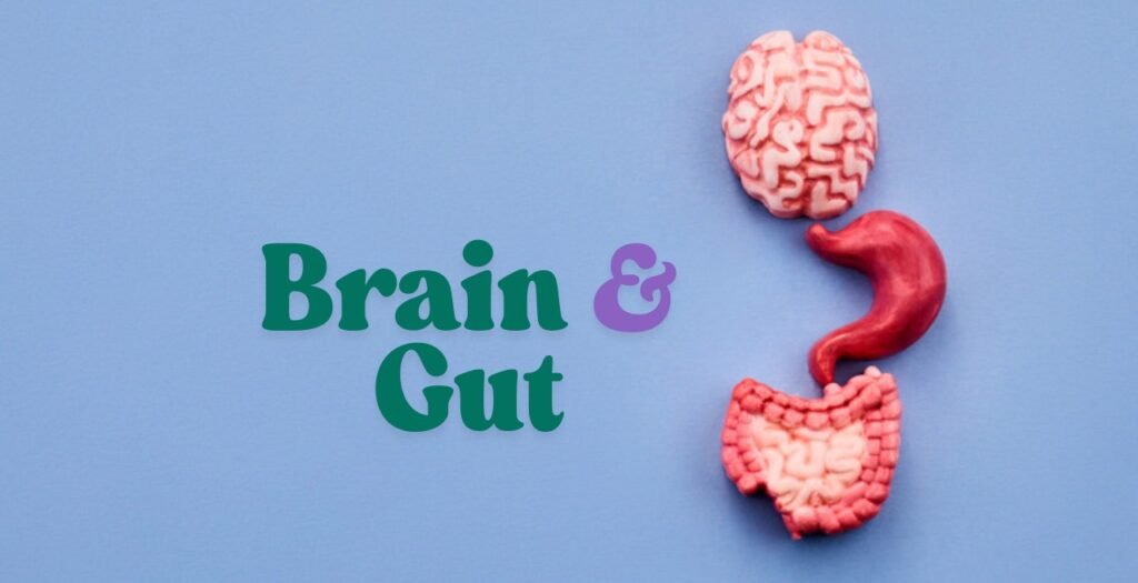 Brain and gut illustration showing the gut-brain connection